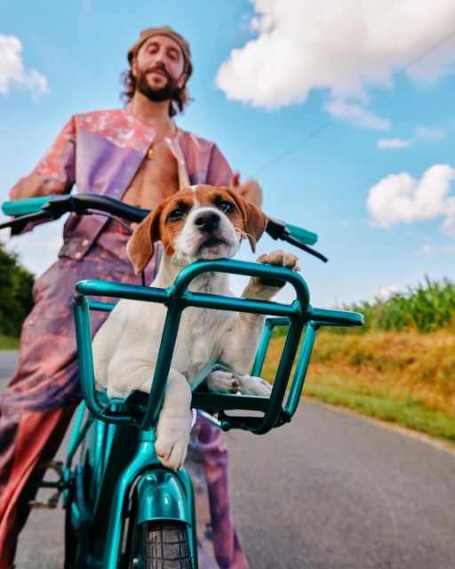 Man rides blue bike with a dog in the front basket on a sunny road lined with green grass and trees under a blue sky.