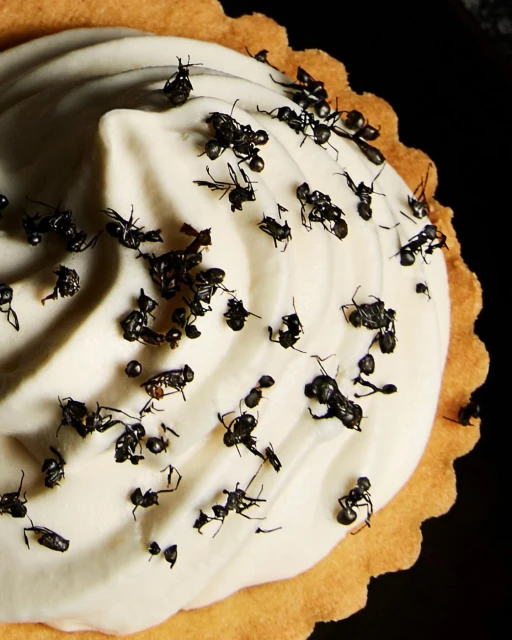 Overhead close-up of a tart filled with white cream topped with many black ants, creating a visually striking and unusual food presentation.