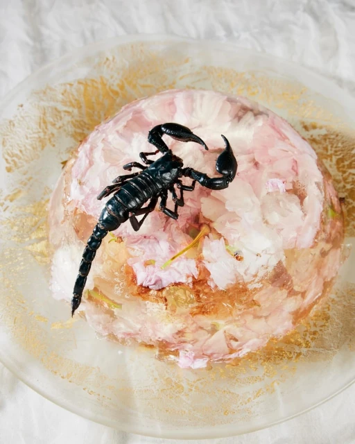 Overhead studio shot of a black scorpion perched on a floral cake on a clear plate with a white wrinkled tablecloth background.