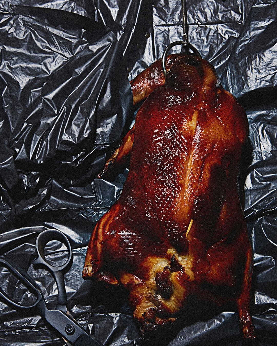 Overhead shot of a glistening, roasted duck hanging above a black plastic sheet with a pair of black scissors in the corner.