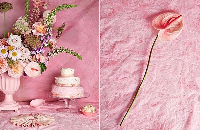 Floral arrangement in pink vase with tiered cake on a pink background, side by side with anthurium on a pink background.