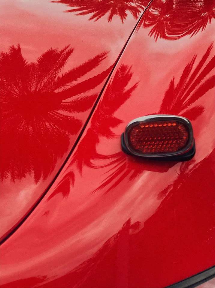 Close-up of red car hood with palm tree reflections and a black-rimmed red reflector, conveying a sense of tropical automotive style.