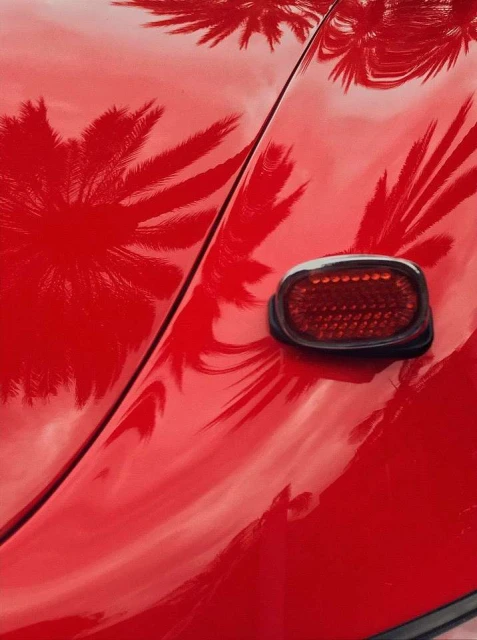 Close-up of red car hood with palm tree reflections and a black-rimmed red reflector, conveying a sense of tropical automotive style.