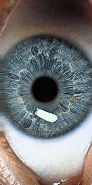 Creative Exchange Agency