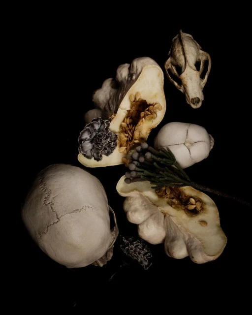 Still life arrangement of skulls, gourds, flower, and botanical elements on a black background creating a dark, moody composition.