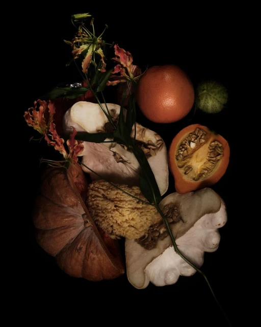 Botanical still life featuring a pumpkin, citrus fruits, gourds, and lilies on a black background, creating a rich, dark, and moody composition.