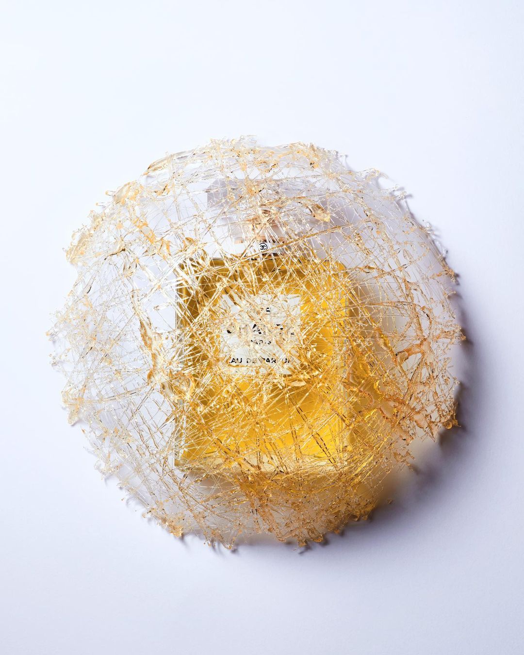 Close-up studio shot of a bottle of perfume surrounded by a decorative, spun-sugar nest on a white background, showcasing beauty and art.