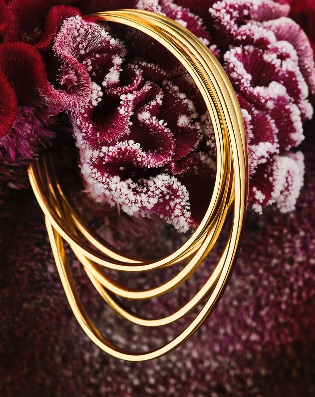 Close-up of a stack of four gold metal bracelets against a backdrop of a dark red, frosted cockscomb flower.
