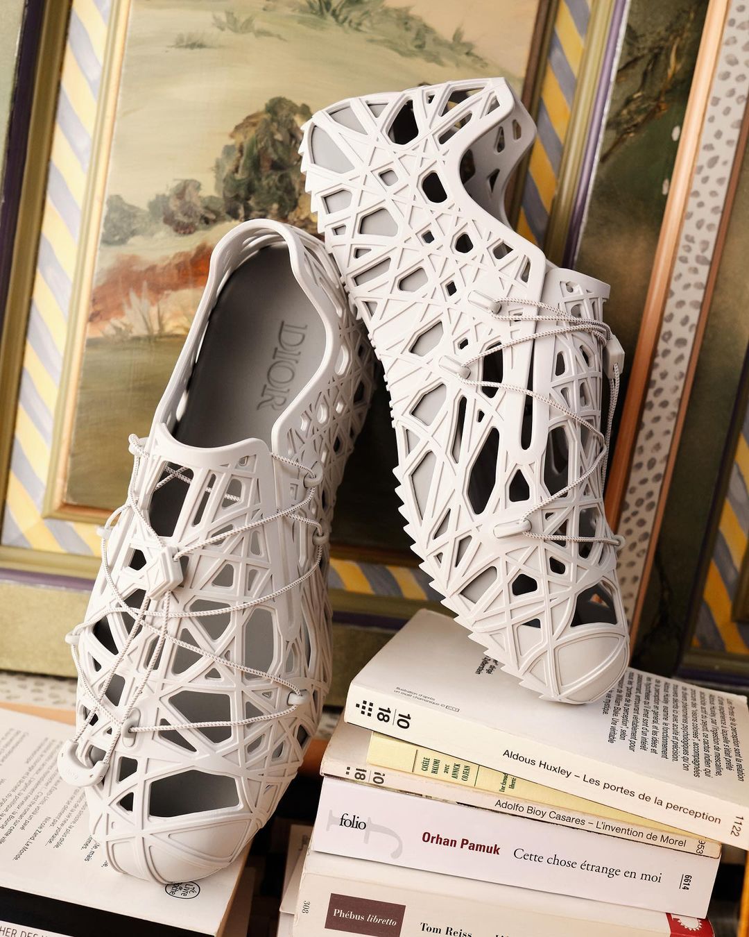 Fashionable grey Dior shoes displayed on a stack of books with a framed artwork backdrop featuring muted earth tone colors.