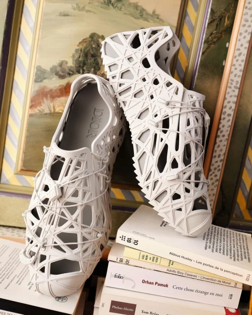 Fashionable grey Dior shoes displayed on a stack of books with a framed artwork backdrop featuring muted earth tone colors.