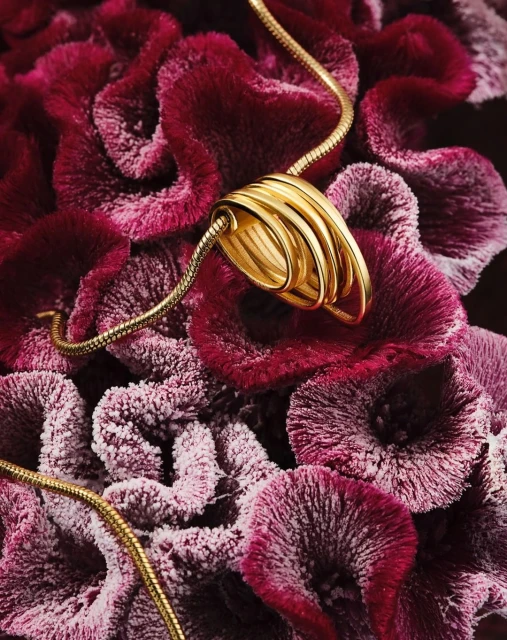 Close-up of a gold metal necklace pendant with a snake chain, resting on textured burgundy and white petal-like formations.