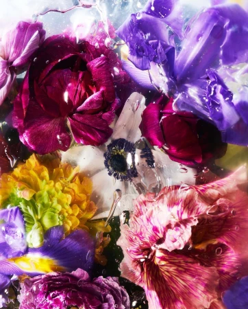 Close-up macro shot of vibrant purple, pink, yellow, and white flowers submerged in water with visible bubbles.