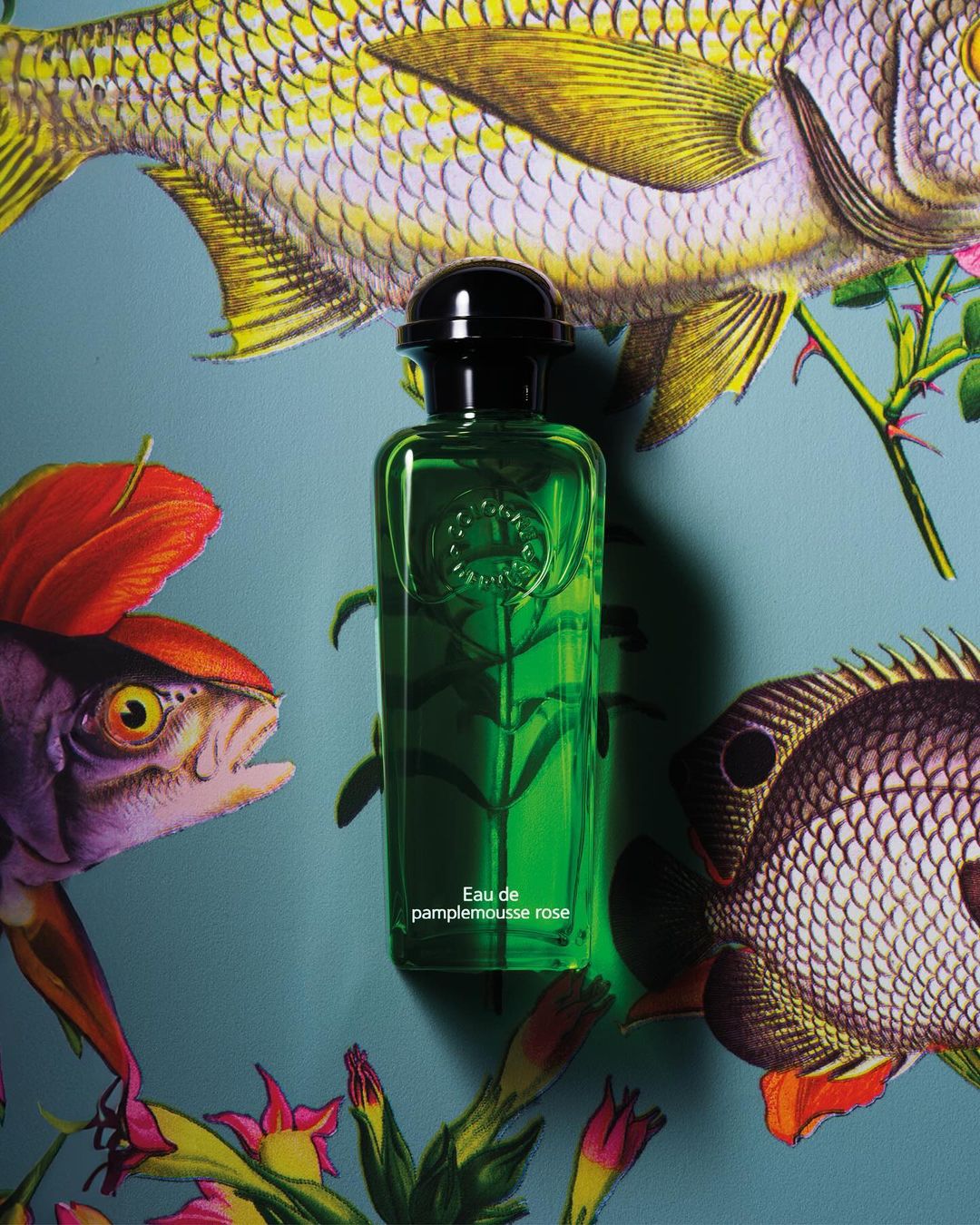 Eau de pamplemousse rose perfume bottle on a light-blue backdrop with colorful fish and floral illustrations for a product shot.