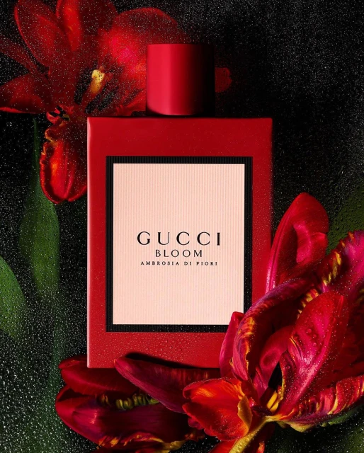 Close-up shot of a red Gucci Bloom Ambrosia di Fiori perfume bottle surrounded by red tulips against a dark, textured background.