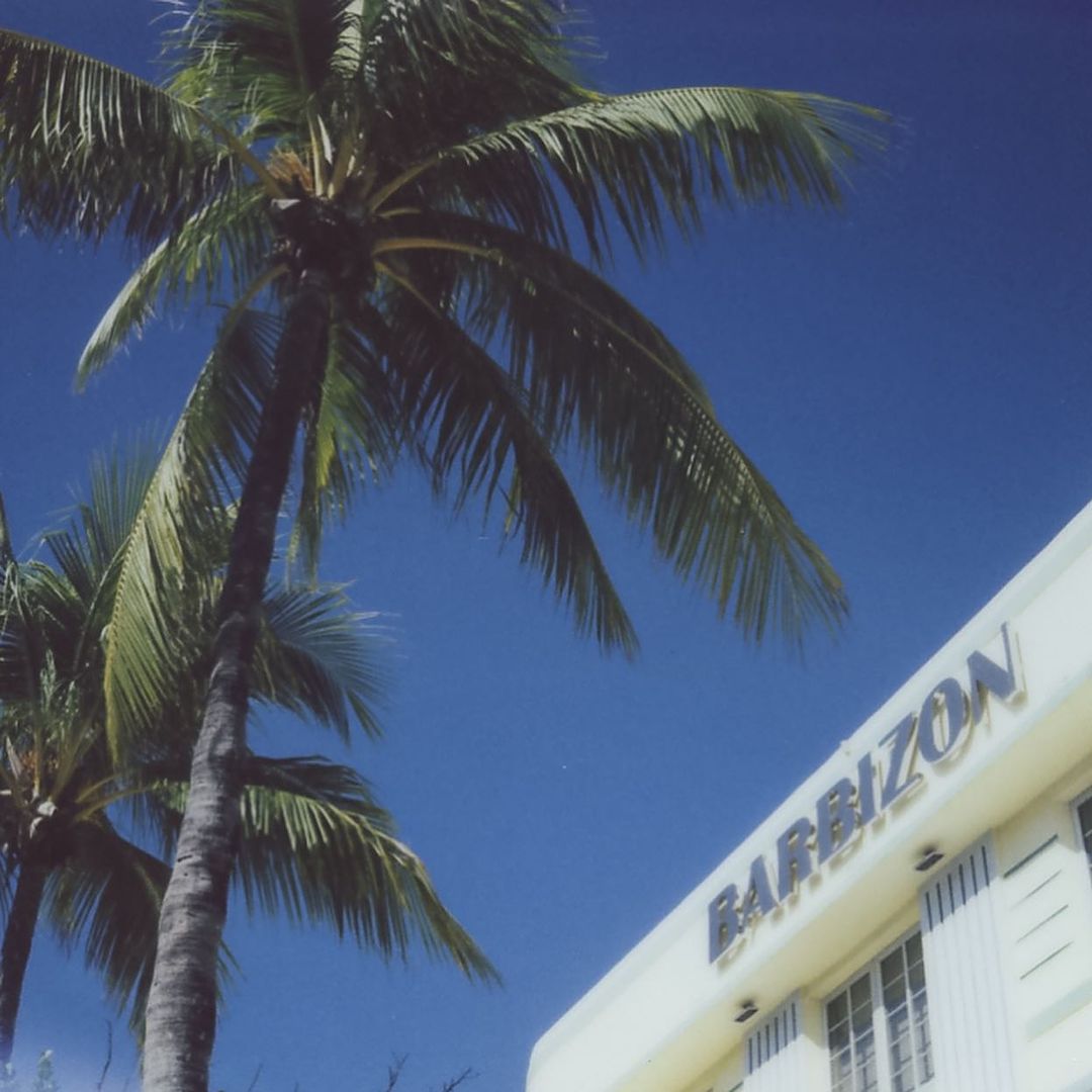 Palm trees frame the Barbizon building against a clear blue sky, capturing a serene tropical atmosphere with architectural detail.
