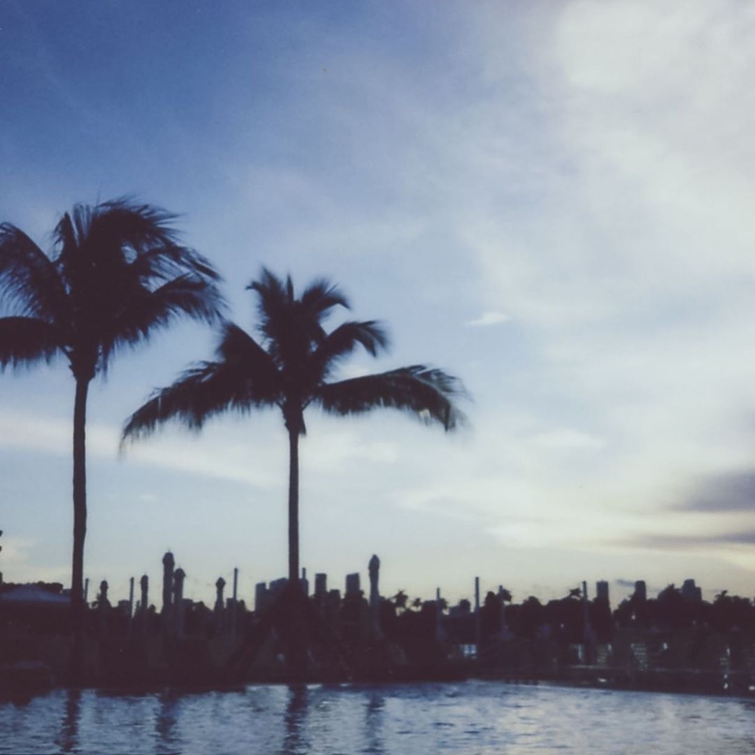 Palm trees silhouette against a blue sky and calm water. Coastal scene with tropical vegetation in the distance under a bright sky.