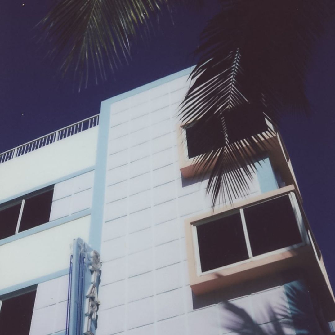 Art Deco building exterior under a dark blue sky with palm tree fronds partially obscuring the facade and window views.