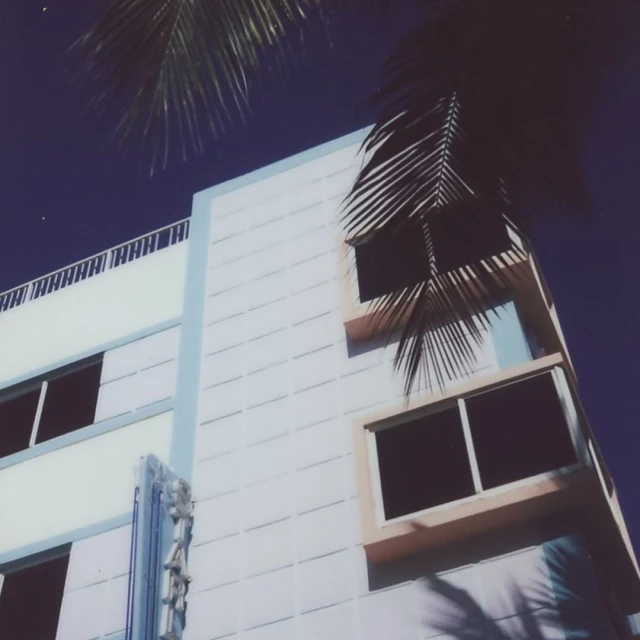 Art Deco building exterior under a dark blue sky with palm tree fronds partially obscuring the facade and window views.