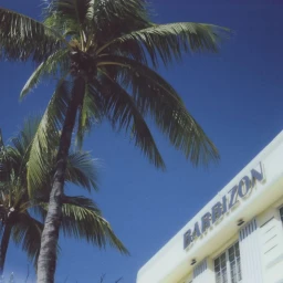 Palm trees against a clear deep blue sky next to a cream-colored building exterior with the sign BARBIZON