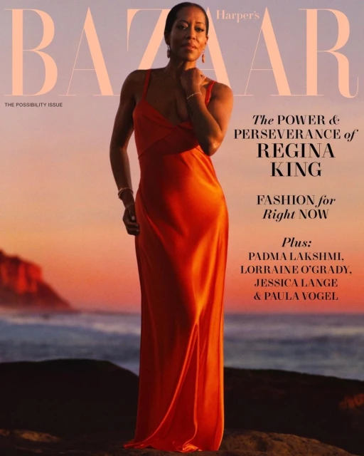 Regina King in elegant orange dress posing on rocky beach at sunset for Bazaar magazine cover, fashion, celebrity, nature, and editorial photography.
