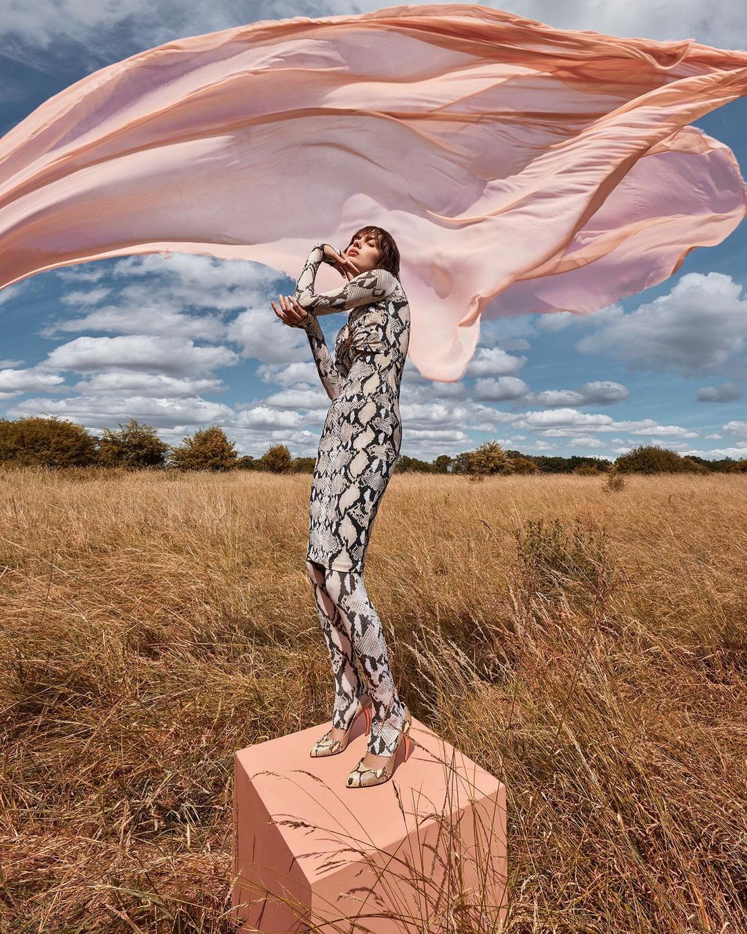 Adult female fashion model in a snake-print dress on a cube in a field with a flowing pink scarf against a blue sky backdrop.