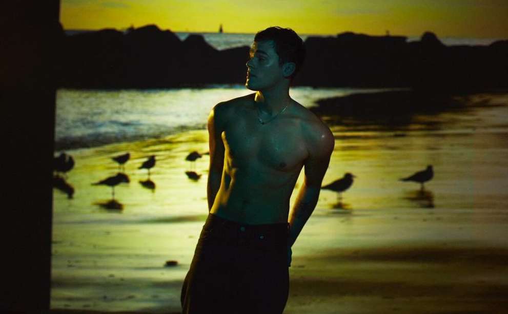 Adult male posing shirtless on a beach with birds at sunset. The man is wearing dark pants and a silver necklace, facing left.
