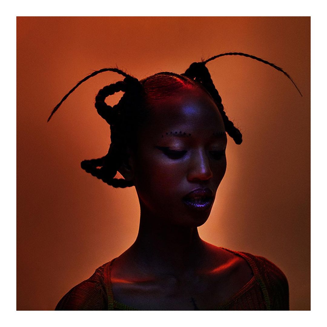 Portrait of a dark-skinned woman in a studio setting, featuring intricate braided hair styled with extended strands and artistic lighting.