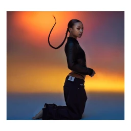 Kneeling woman wearing a black mesh top and black low rise trousers against a warm sunset gradient background by Luis Sanchis