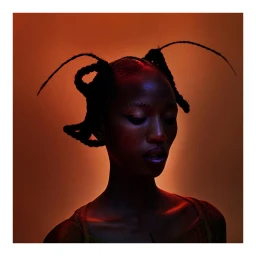 Portrait of a black woman with intricate braided hairstyles and antenna-like extensions against a warm lit background.