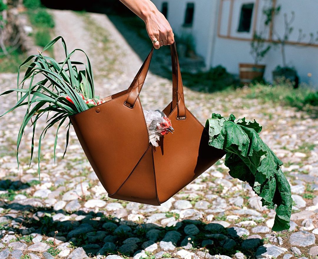 A brown leather tote bag is held by an arm, containing a white chicken, green onions, and large green leaves in an outdoor setting.