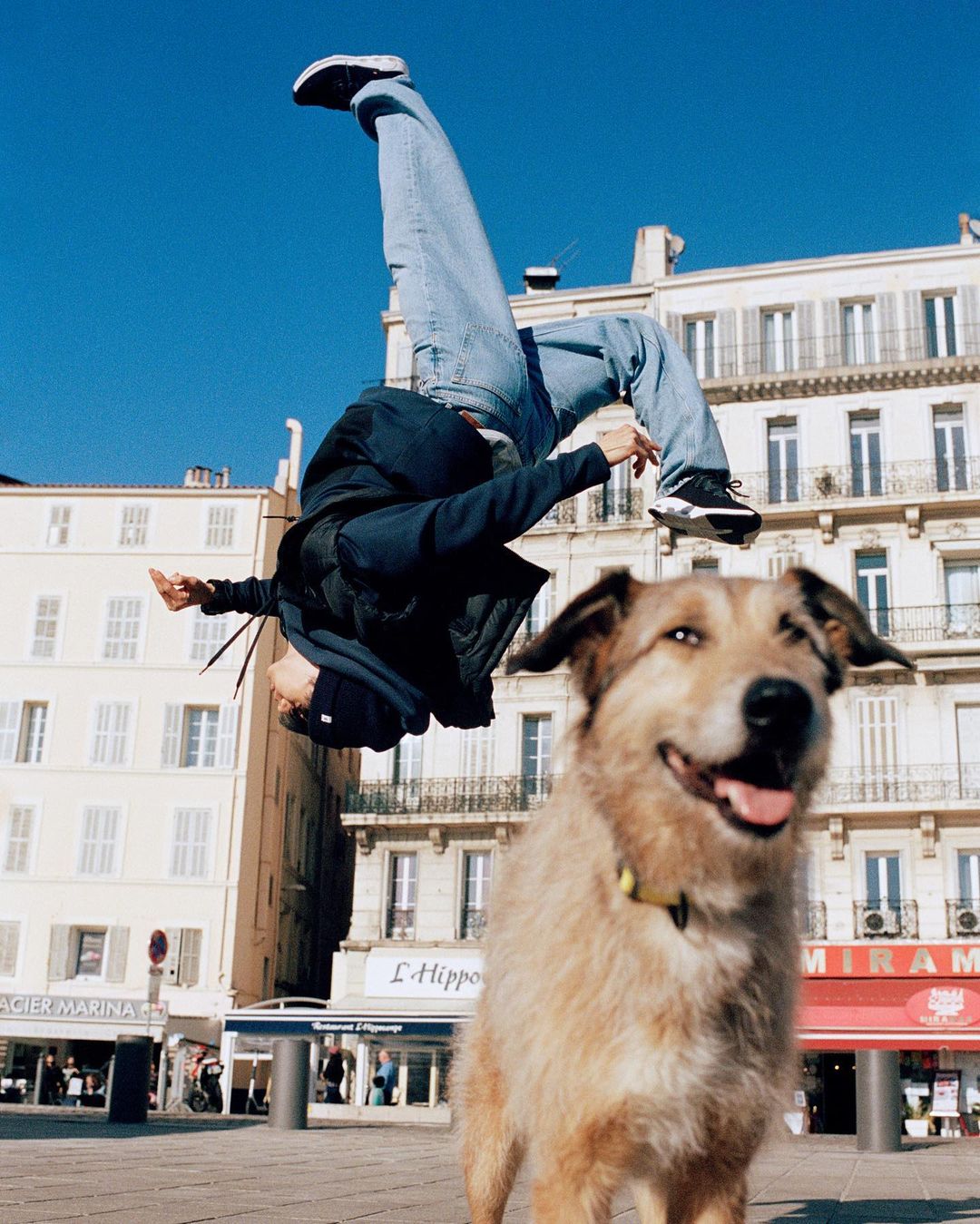 Person does a handstand in urban square with dog in foreground against blue sky and white buildings in outdoor daytime shot.
