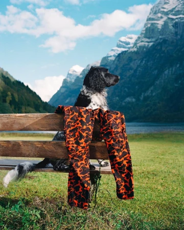 Dog on a wooden bench wearing orange patterned pants with a mountain and lake background, capturing outdoor style and nature's beauty.