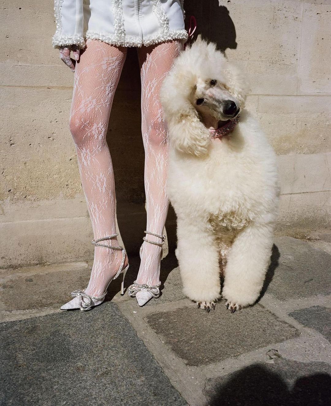 A white standard poodle stands next to a person wearing white lacey stockings and white heels with bows, both posing outdoors.