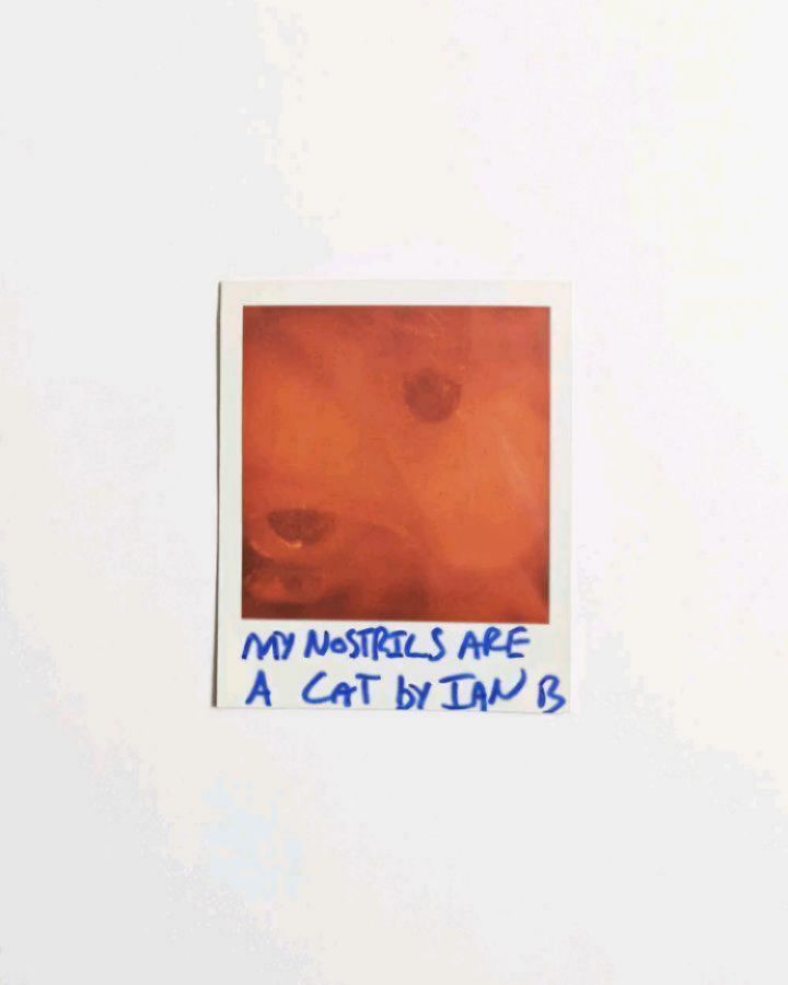 Polaroid of a human face with large nostrils, captioned 'My nostrils are a cat by Ian B' on a white background.
