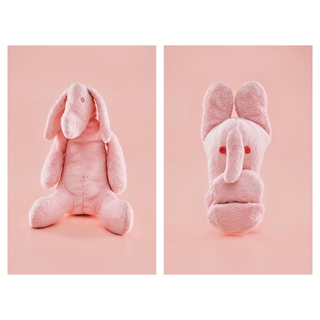 Two pink plush toys, one resembling a rabbit and the other an elephant's head, sit against a pastel pink background in a studio setup.