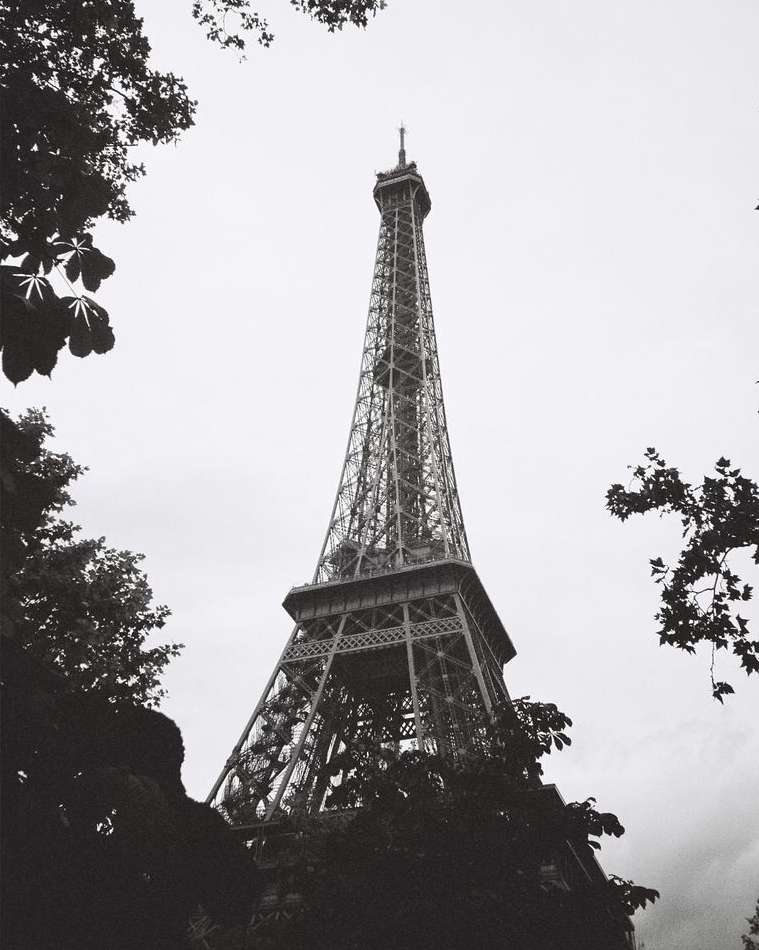Monochrome shot of the Eiffel Tower in Paris, framed by silhouetted trees against a bright sky, showcasing architectural detail and height.