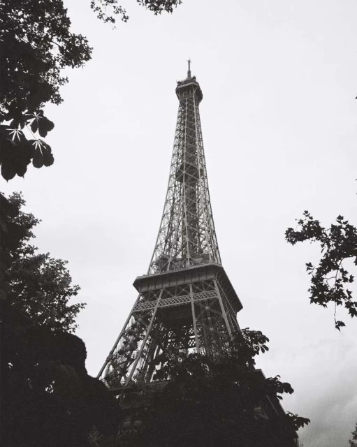 Monochrome shot of the Eiffel Tower in Paris, framed by silhouetted trees against a bright sky, showcasing architectural detail and height.