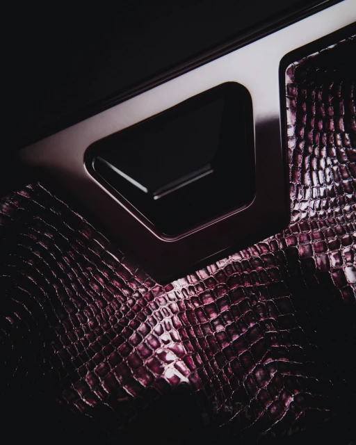 Close-up shot of a car door interior featuring textured crocodile skin and metallic accents on a black background.