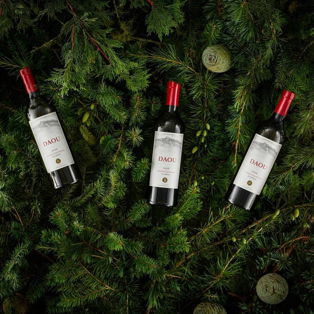Three DAOU wine bottles with red caps are nestled among vibrant green pine boughs and pinecones, presented in a flat lay composition.