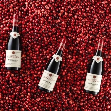 Three bottles of Domaine Faiveley Mercurey wine are surrounded by a field of red cranberries creating a festive food and beverage image.