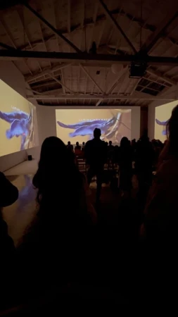 Indoor gathering of silhouetted people watching a projected video in a large room with bright overhead lighting and white walls.