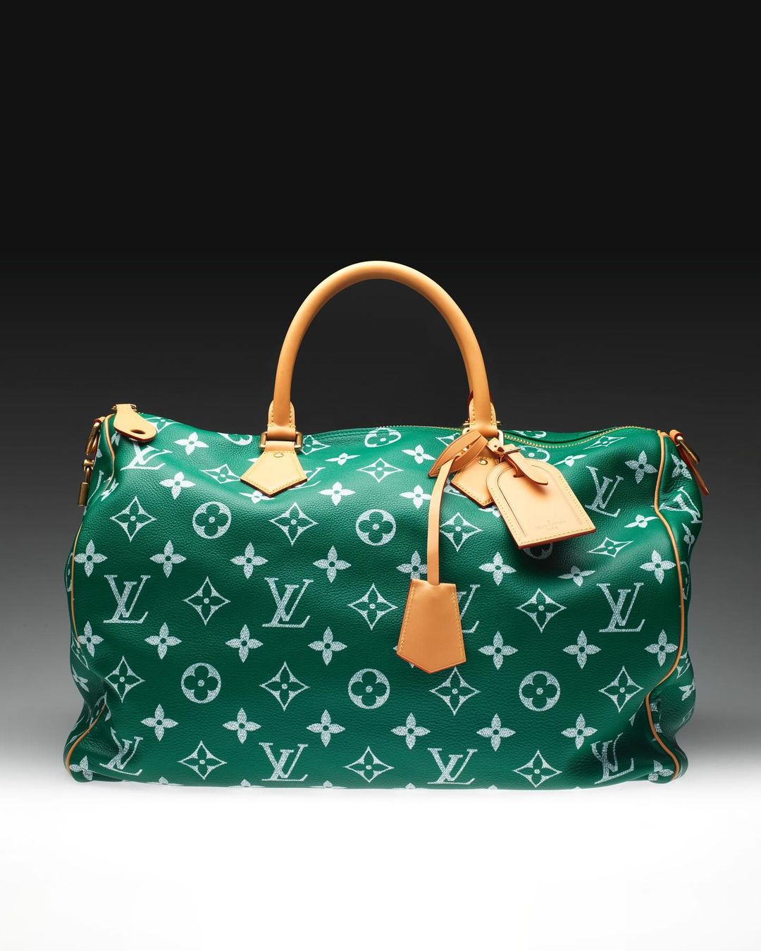 Green and white Louis Vuitton Speedy bag with tan leather handles and tags, studio shot.