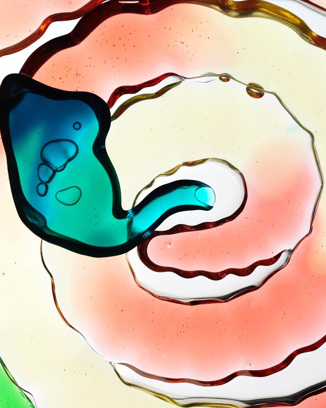 Macro abstract photograph of colorful translucent liquids creating swirling organic shapes and patterns on a bright white background.