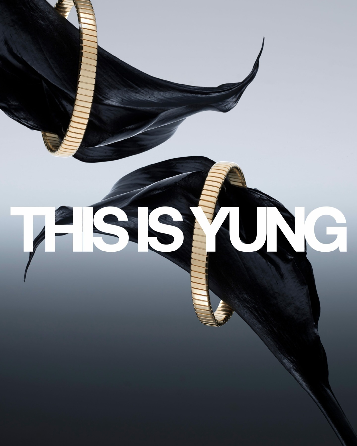 Elevated product shot of golden bracelets adorning black calla lilies against a soft gradient background, showcasing luxury and elegance.
