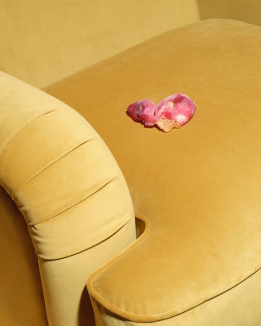 Still life featuring a soft yellow textured sofa with pleated arm and two delicate pink and white rose petals lying on the seat.