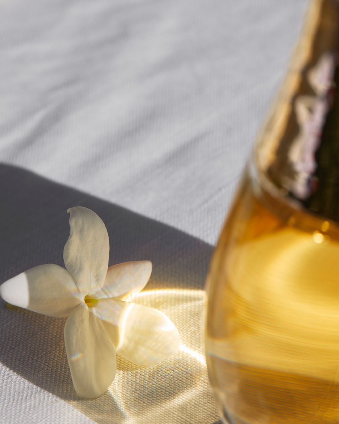 Close-up of a white jasmine flower next to a glass bottle with golden liquid, casting light on a wrinkled white fabric surface.