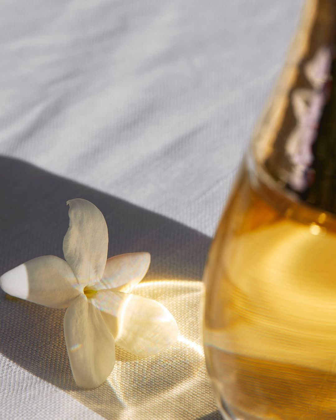 Close-up of a white flower next to a glass bottle with yellow liquid on a white fabric surface, creating soft shadows.