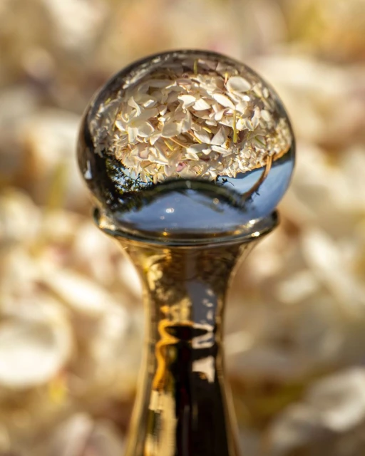 Crystal ball on gold stand reflects and distorts flower petals in a soft, blurred background, creating a unique perspective and dreamy aesthetic.