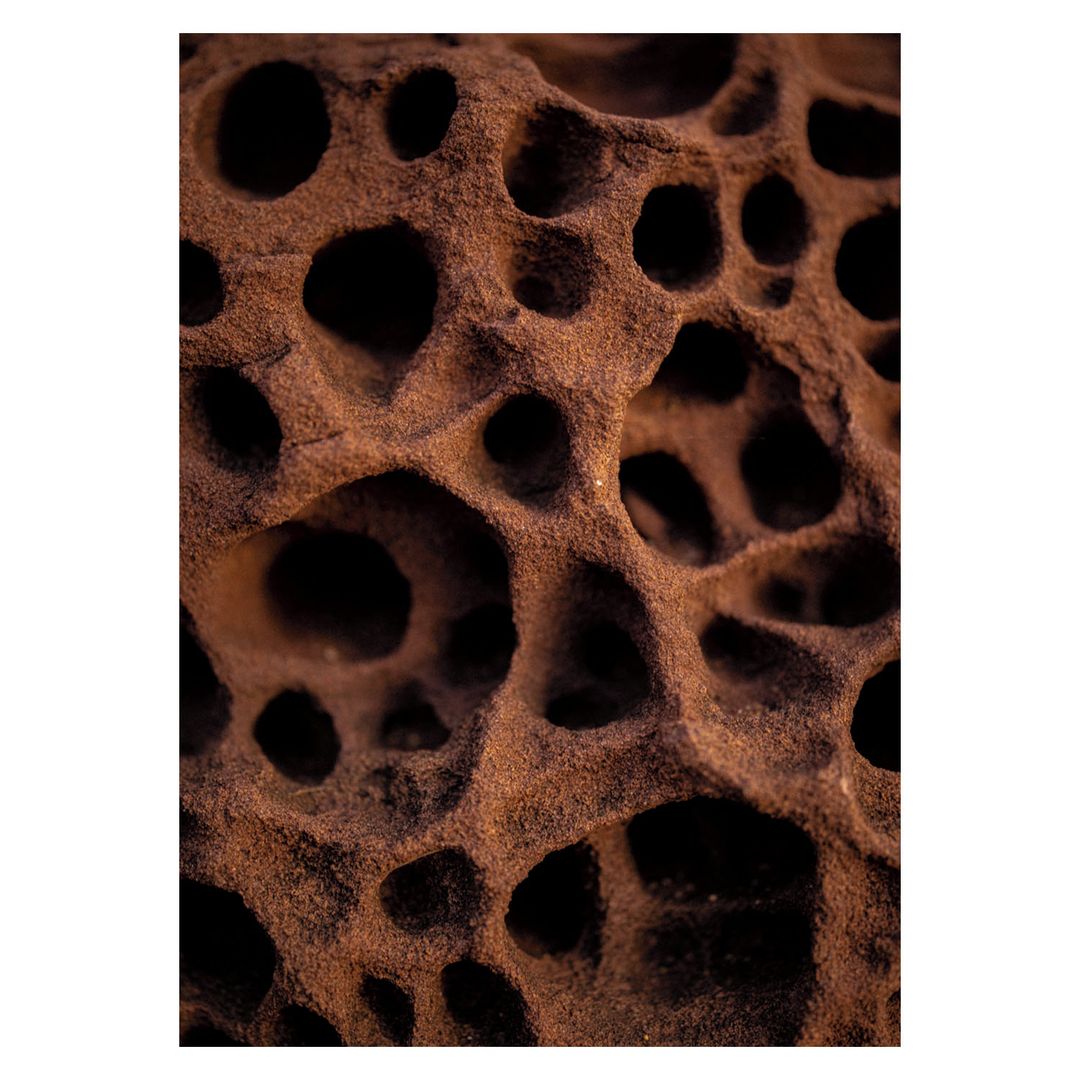 Closeup of brown rock formation with many holes, showing detailed texture and natural patterns in earthy tones, ideal for geology content.