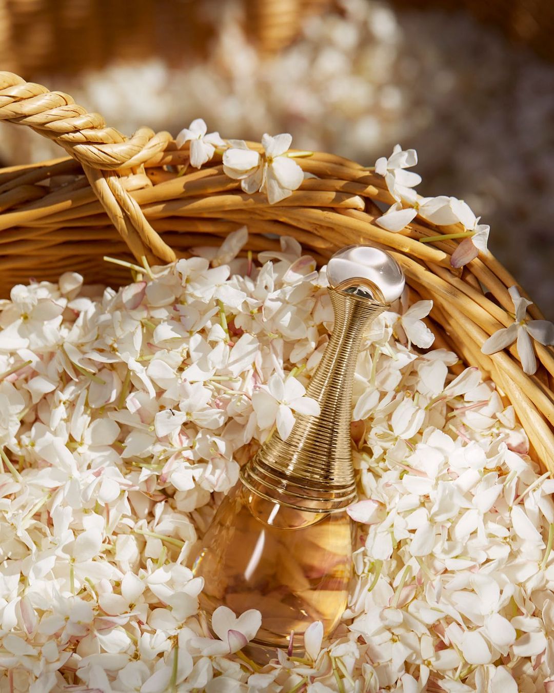 Close-up of a golden perfume bottle surrounded by white flower petals inside a woven basket, bathed in soft, natural light.